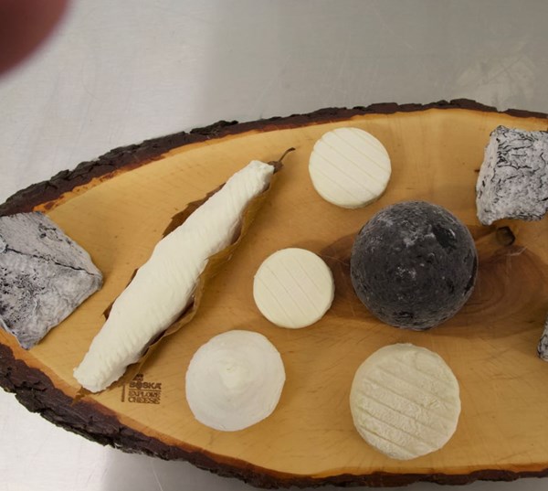 cheese in charge Appetitt